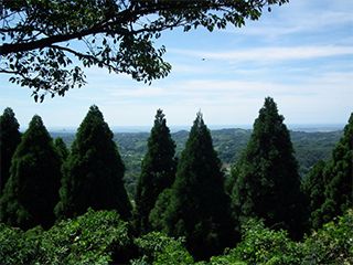 松根城跡